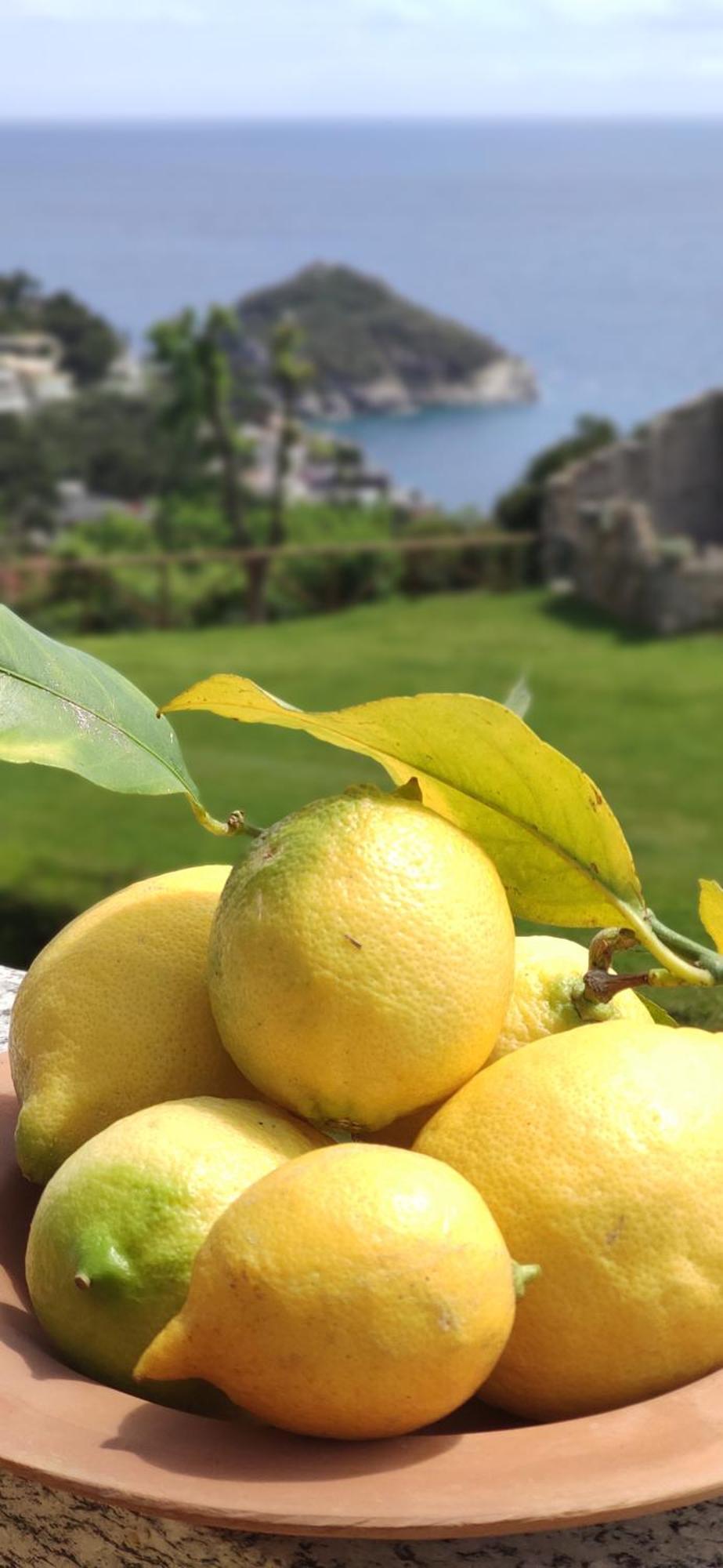Il Giardino Sull'Isola - Appartamento - Bergeggi Bagian luar foto