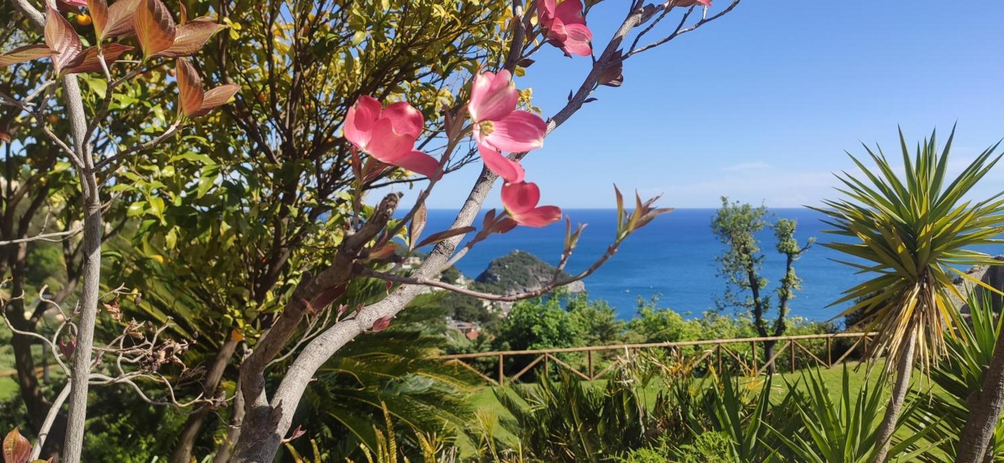 Il Giardino Sull'Isola - Appartamento - Bergeggi Bagian luar foto