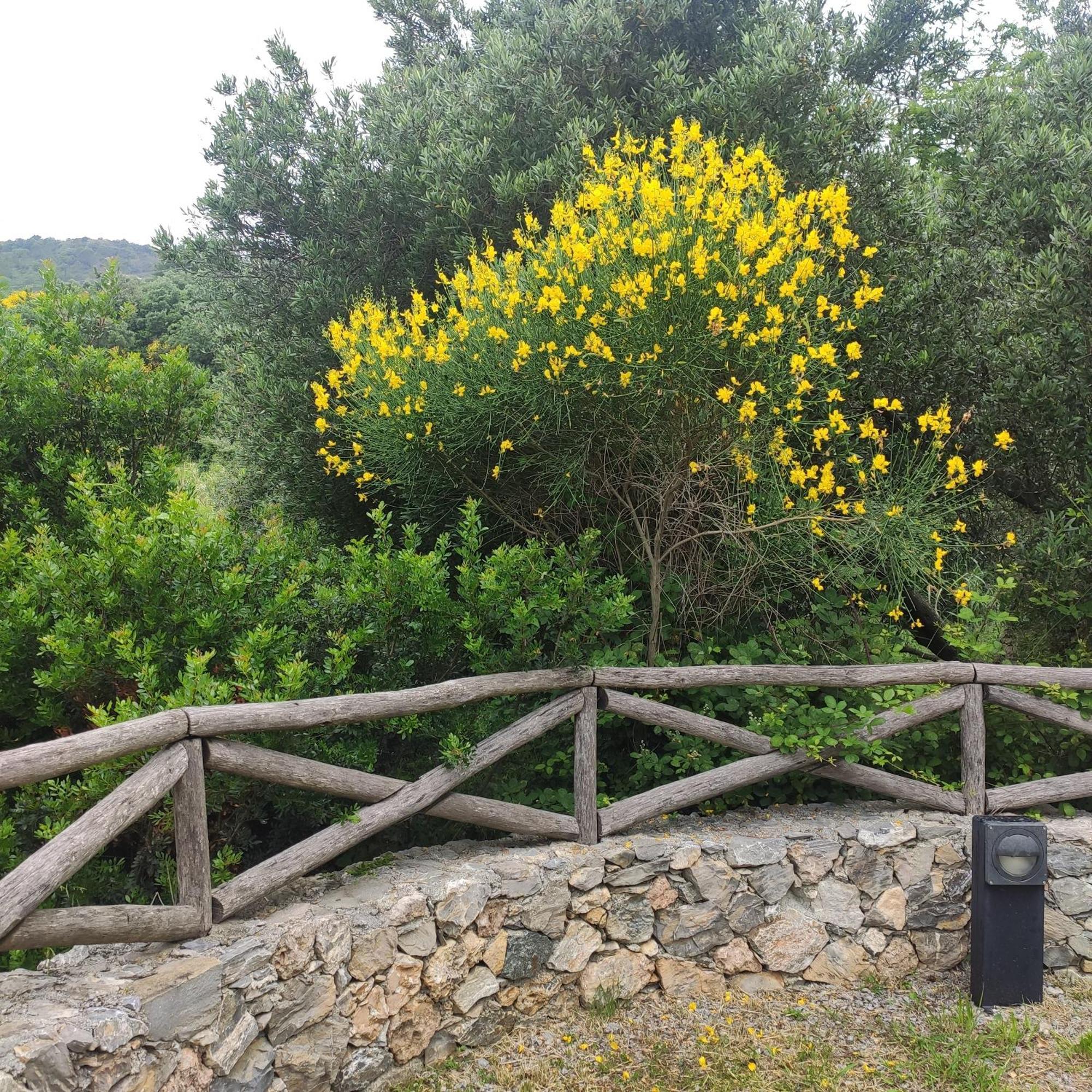 Il Giardino Sull'Isola - Appartamento - Bergeggi Bagian luar foto